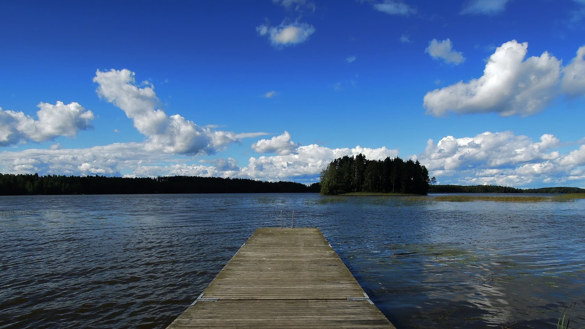 Heinäkuun lomien ajaksi lukemista teemaviikoista – katso teemat