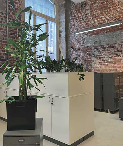 <p data-block-key="7s37m">Viherkasveilla luot viihtyisyyttä toimistoon.</p>