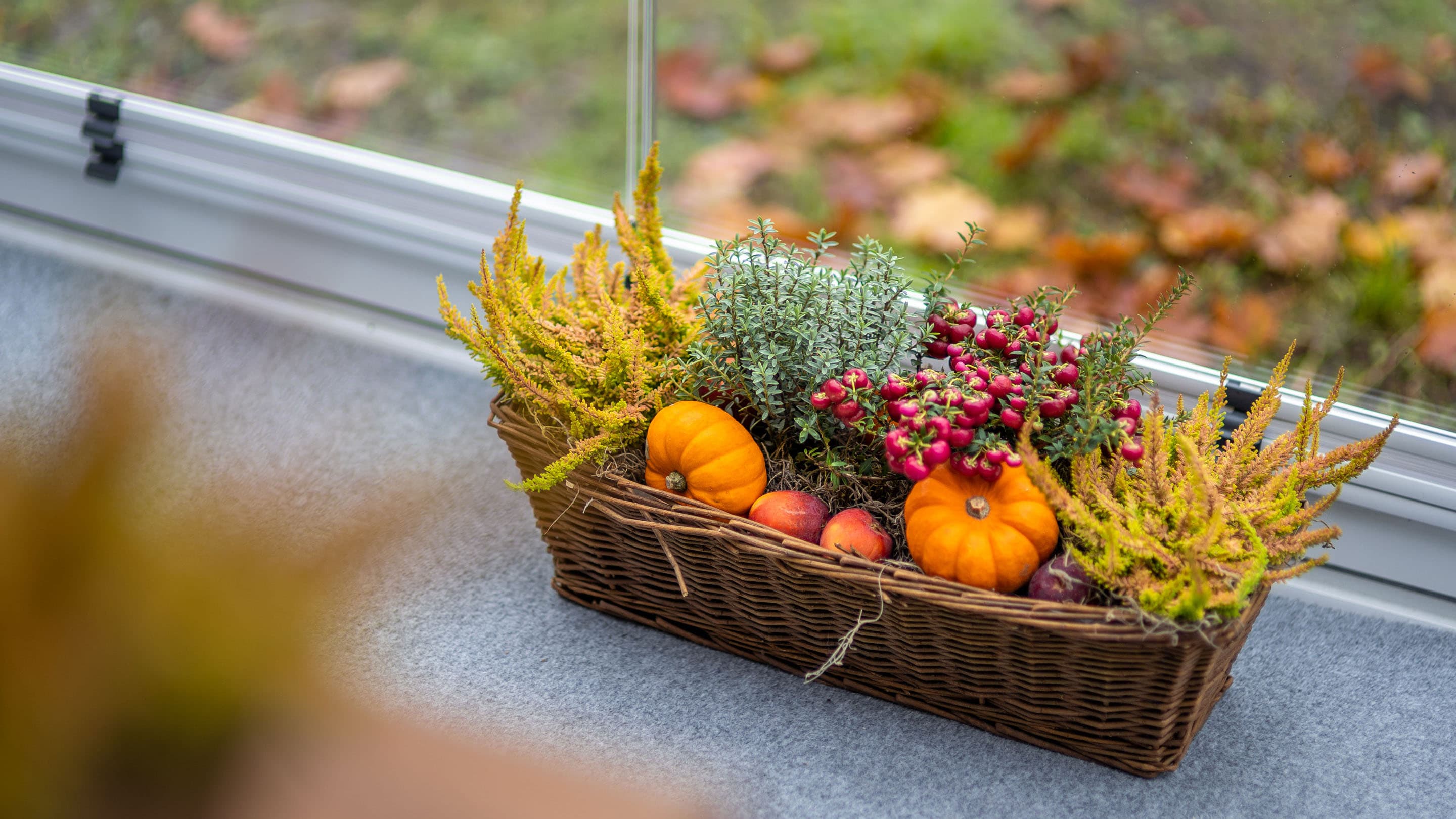 Syyskasvien loistoa ja syksyistä tunnelmaa lasiterassilla