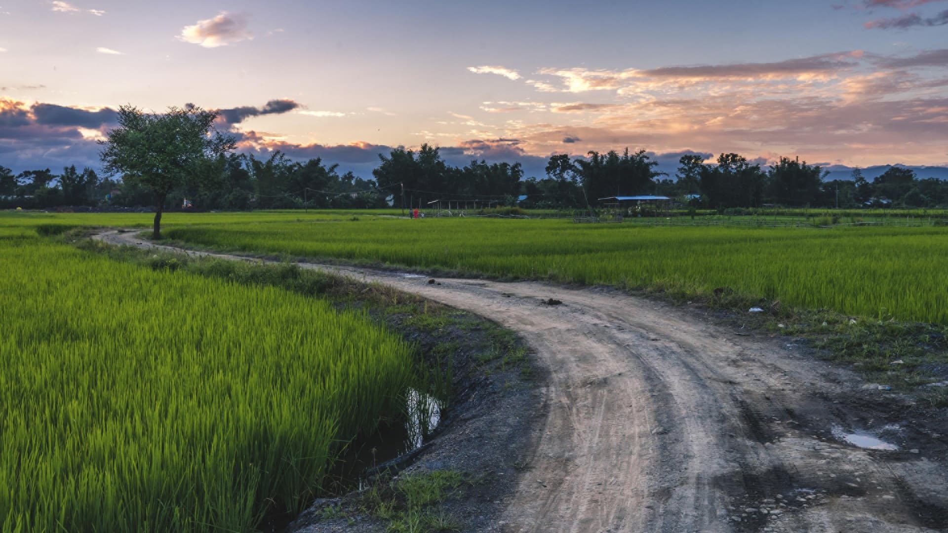 Suoja-alueelle rakentaminen vaatii luvan ELY-keskukselta