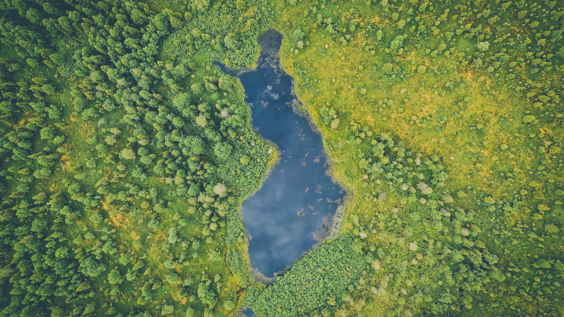 Maankäyttö- ja rakennuslain yhtenä tavoitteena on säilyttää luonnon monimuotoisuus Suomessa