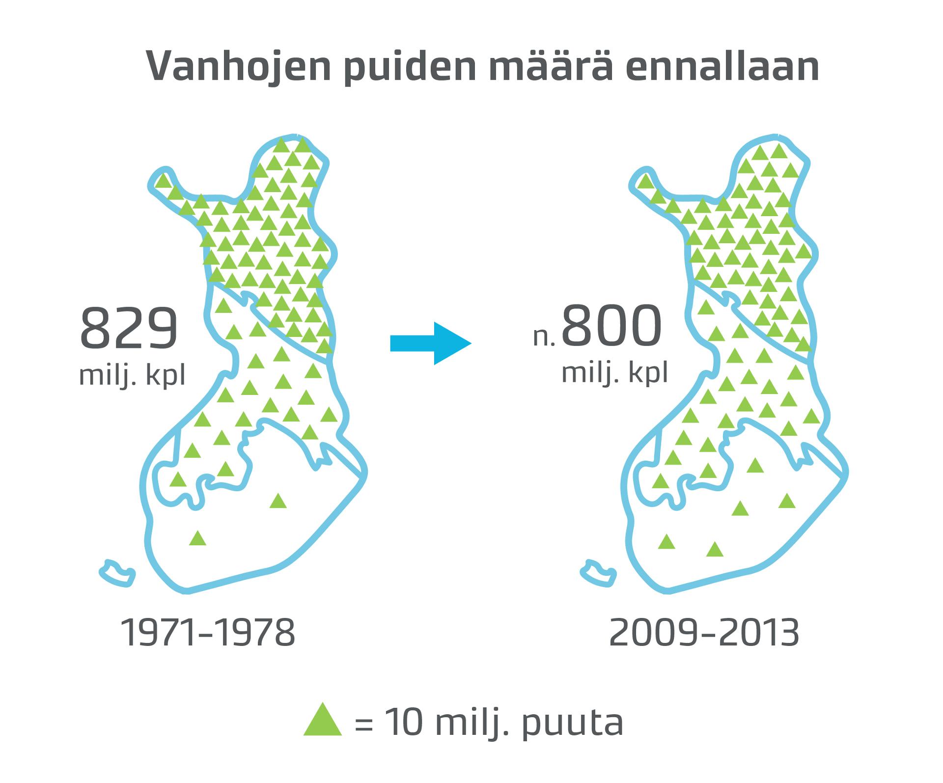 Ylivoimaisesti suurin osa vanhoista puista on pohjoisimmassa Suomessa. Enin osa niistä on läpimitaltaan melko pieniä.