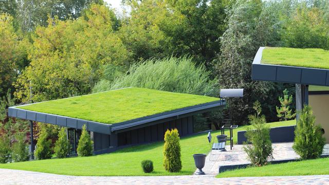 Talon katolla on vihreä nurmikko eli viherkatto