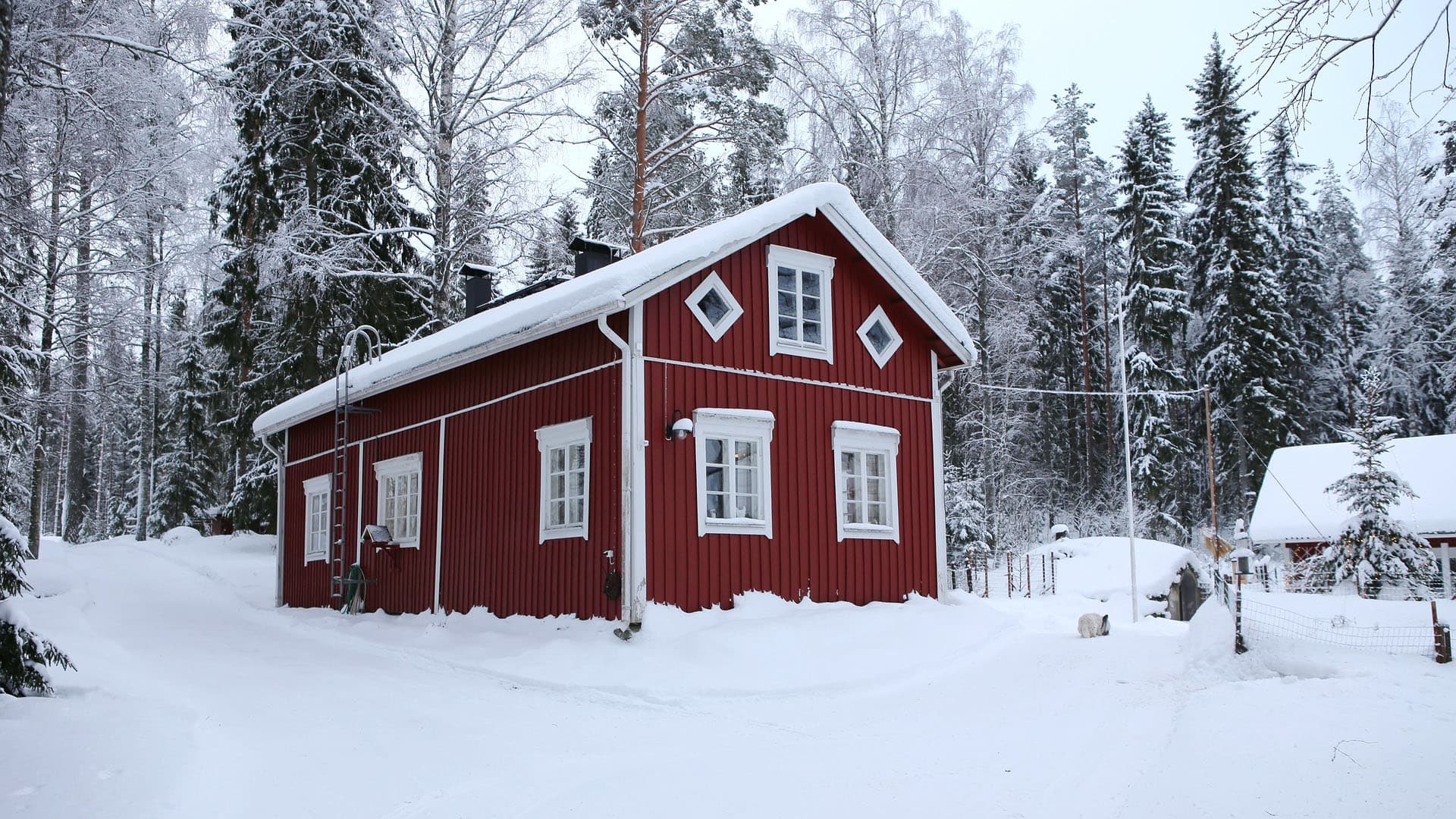 Ennaltaehkäise lumen sulamisen tuomat ongelmat