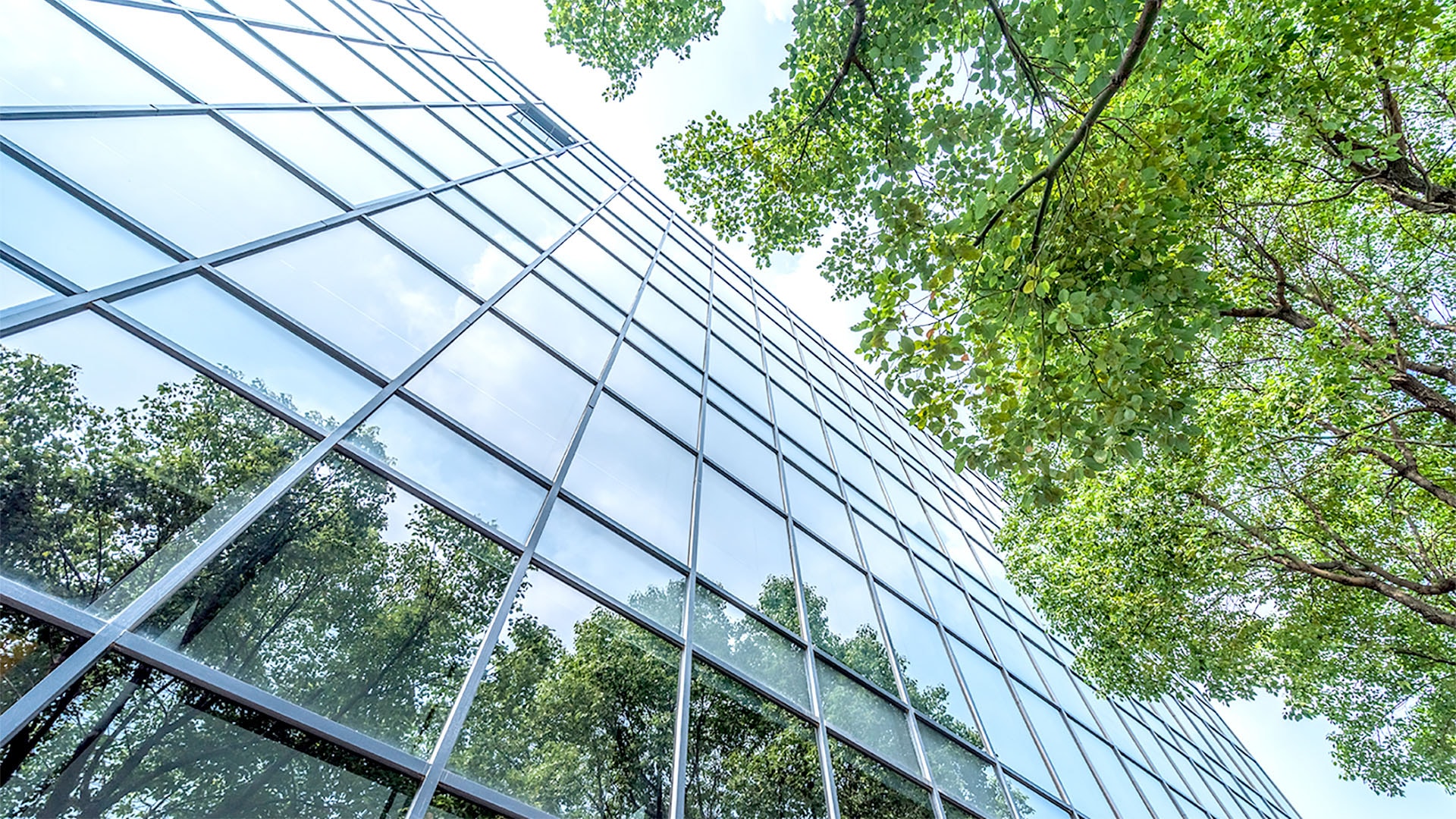 1920 toimistorakennuksen lasinen julkisivu, johon heijastuu vihreälehtinen puu smartvatten