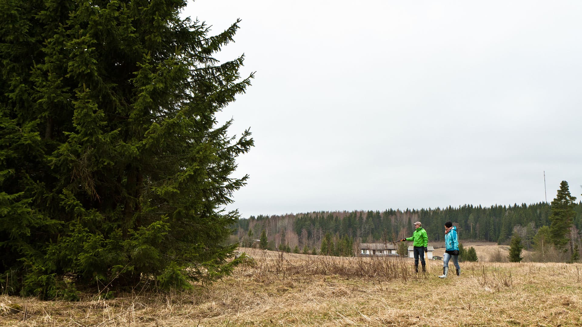 Mitä huomioida tonttia valitessa?