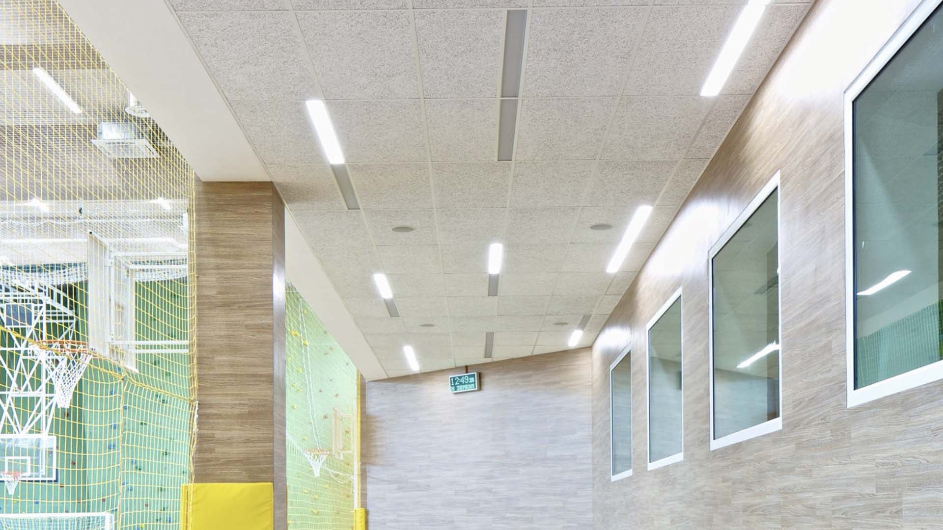 Heradesign AlphaPlus-palloiluhalli_inkku