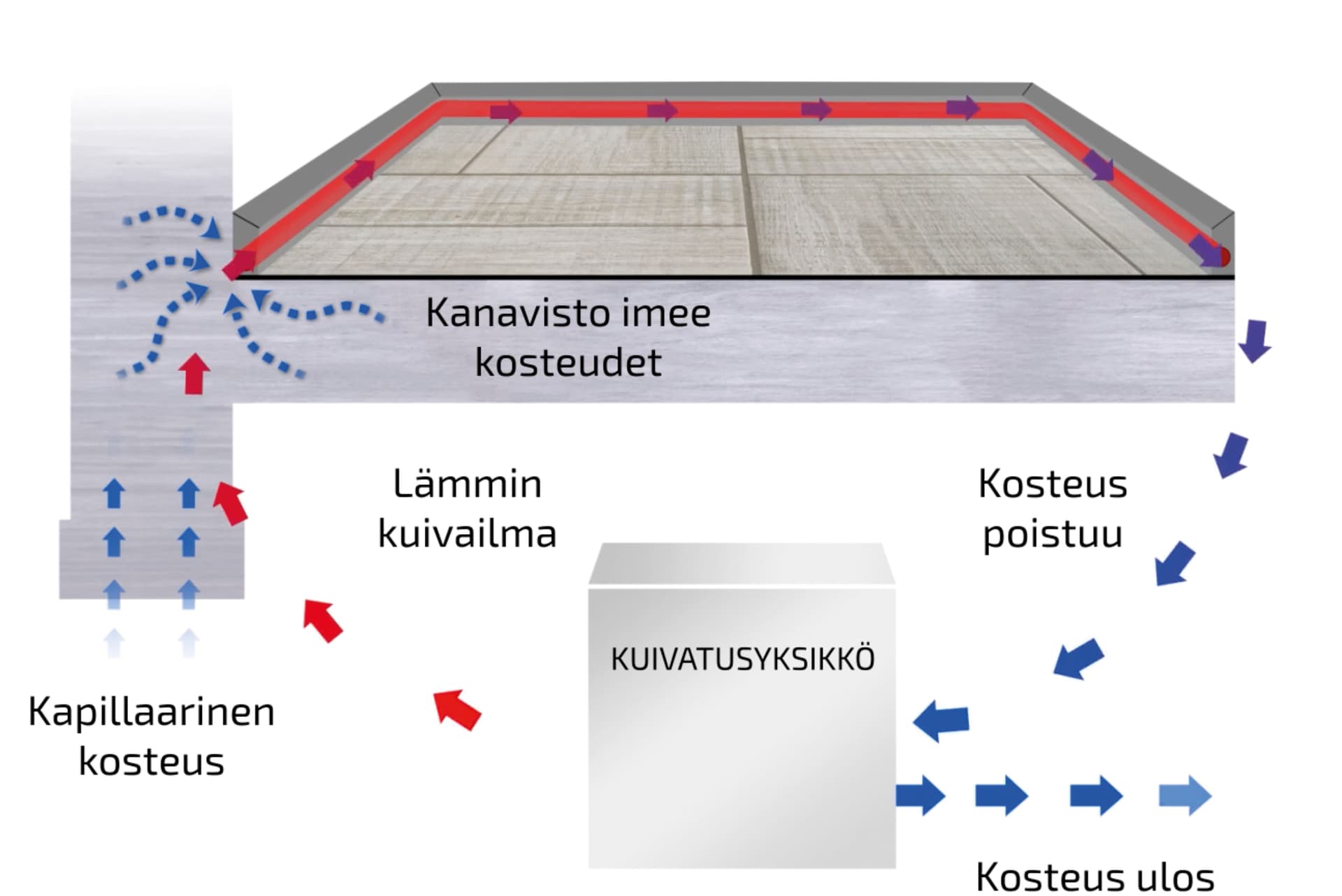 <p data-block-key="qgg5y">Suljetun kuivatuskanaviston kautta kierrätettävä kuivattu ilma puhaltaa rakenteet kuiviksi. Kuivatusteho perustuu kuivatuskanaviston kautta rakenteiden sisällä suljetusti kiertävään ilmaan, joka kuivataan, lämmitetään ja uudelleen kierrätetään kuivatusyksikössä. Kanaviston kautta kierrätettävä kuiva ilma puhaltaa rakenteet kuivaksi ja pitää ne pysyvästi kuivina.</p>
