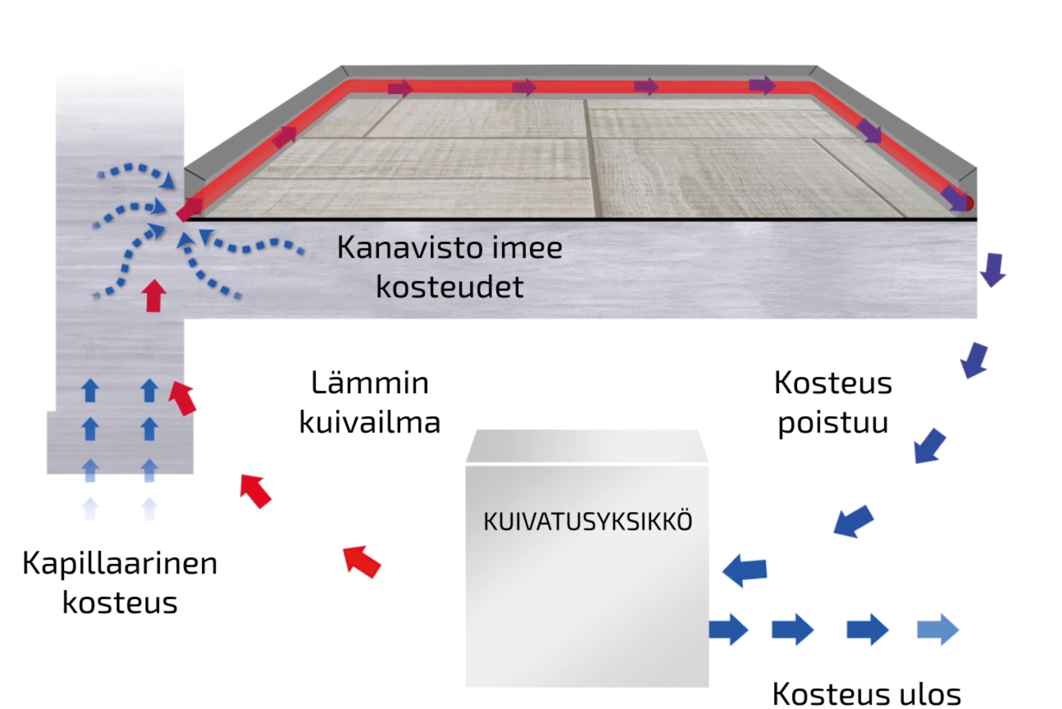 <p data-block-key="qgg5y">Suljetun kuivatuskanaviston kautta kierrätettävä kuivattu ilma puhaltaa rakenteet kuiviksi. Kuivatusteho perustuu kuivatuskanaviston kautta rakenteiden sisällä suljetusti kiertävään ilmaan, joka kuivataan, lämmitetään ja uudelleen kierrätetään kuivatusyksikössä. Kanaviston kautta kierrätettävä kuiva ilma puhaltaa rakenteet kuivaksi ja pitää ne pysyvästi kuivina.</p>