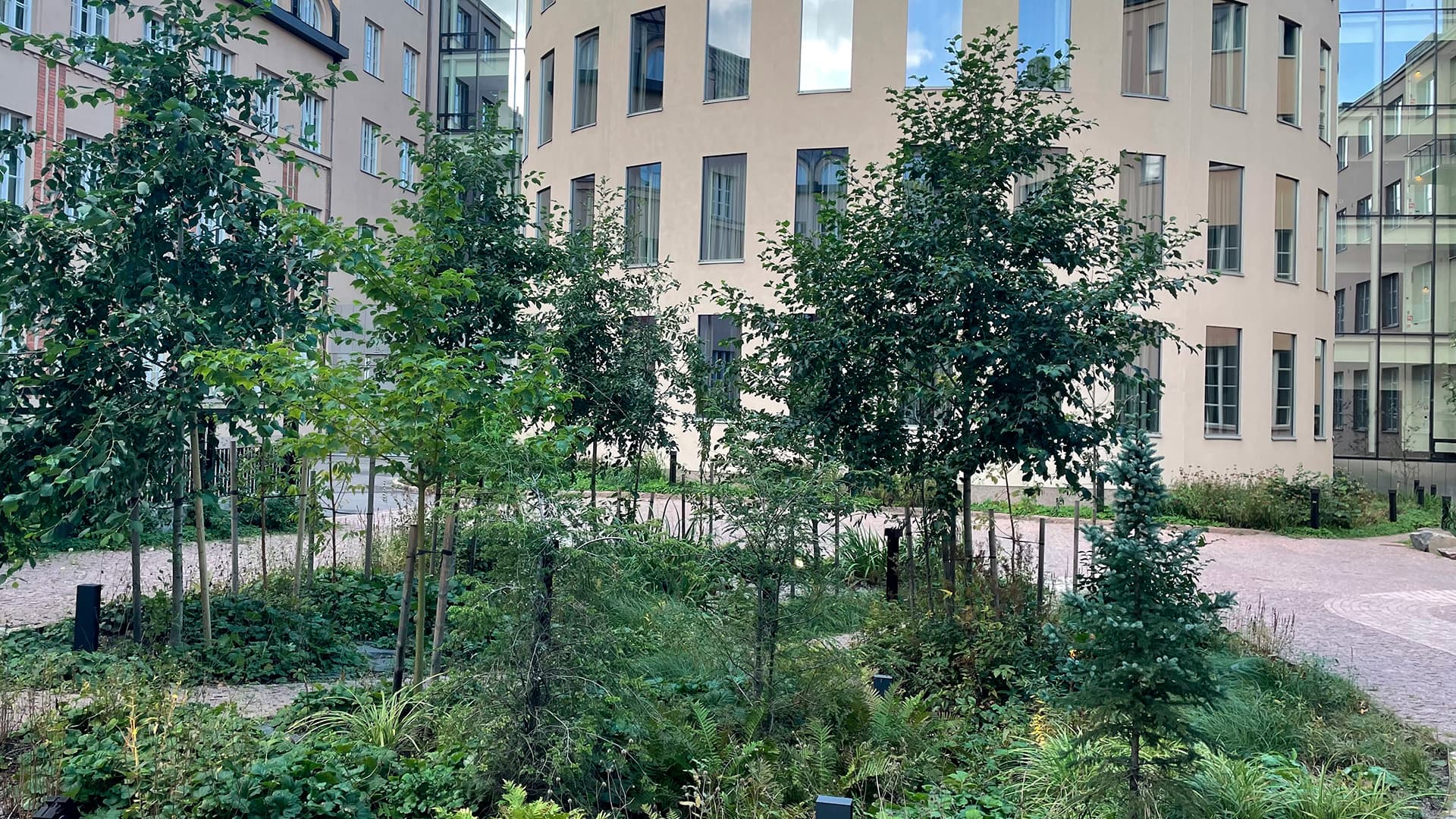 <p data-block-key="q46xc">Kuva: Ranja Hautamäki.</p>