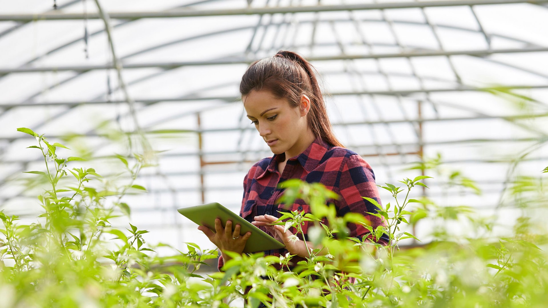 abb webinaarisarja kestävän kehityksen asioista ja hiilineutraliudesta-1920x1080