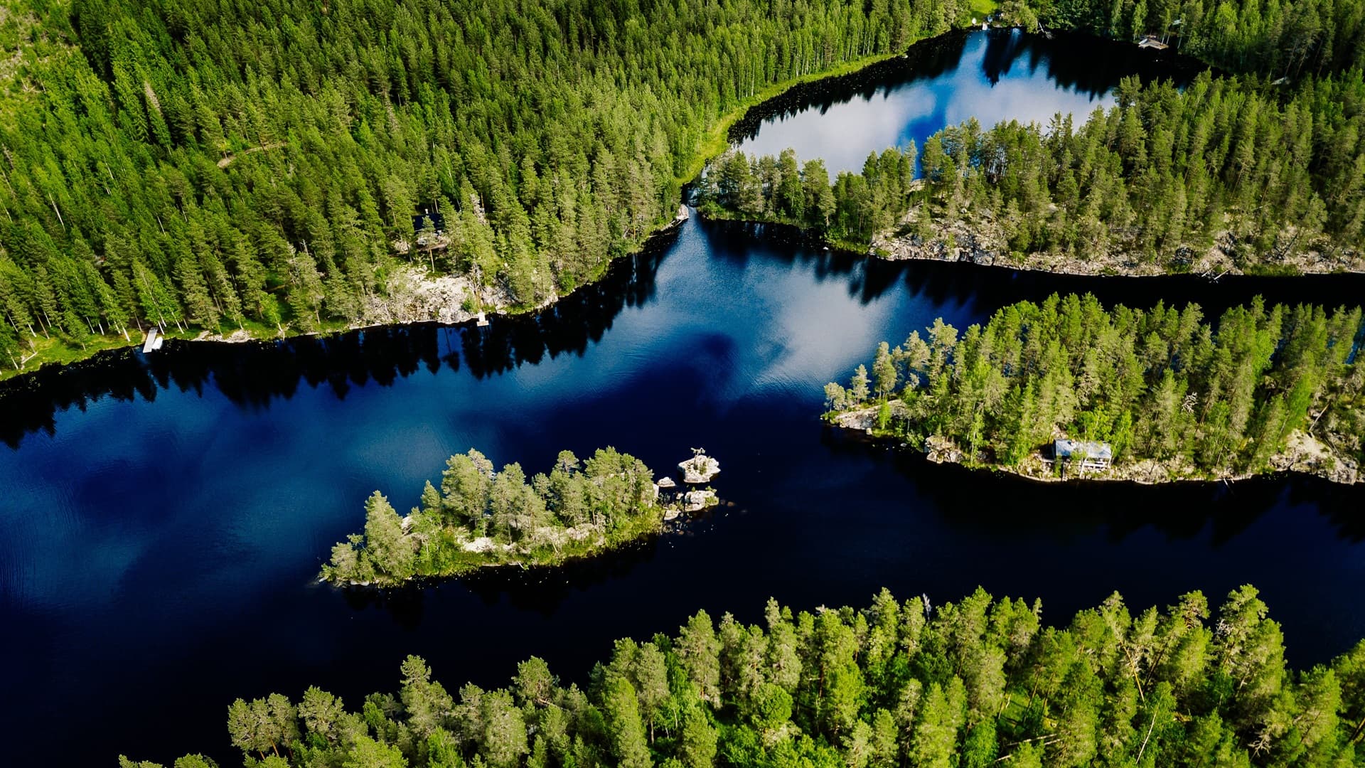 Mitkä ovat yleisimmät rakentamiseen käytetyt puulajit Suomessa?