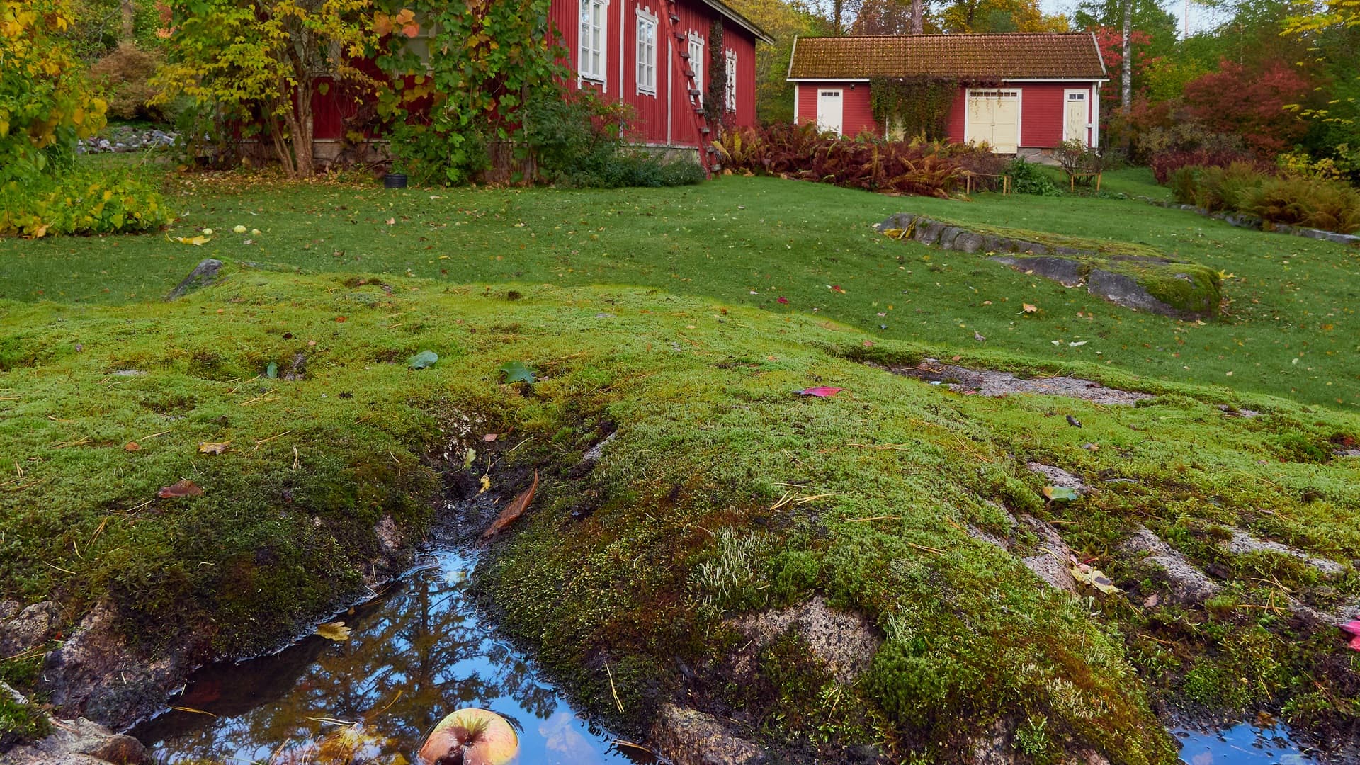 Näin hoidat wc-vesien ja pesuvesien käsittelyn paineellisessa vesijärjestelmässä ‒ osa 5