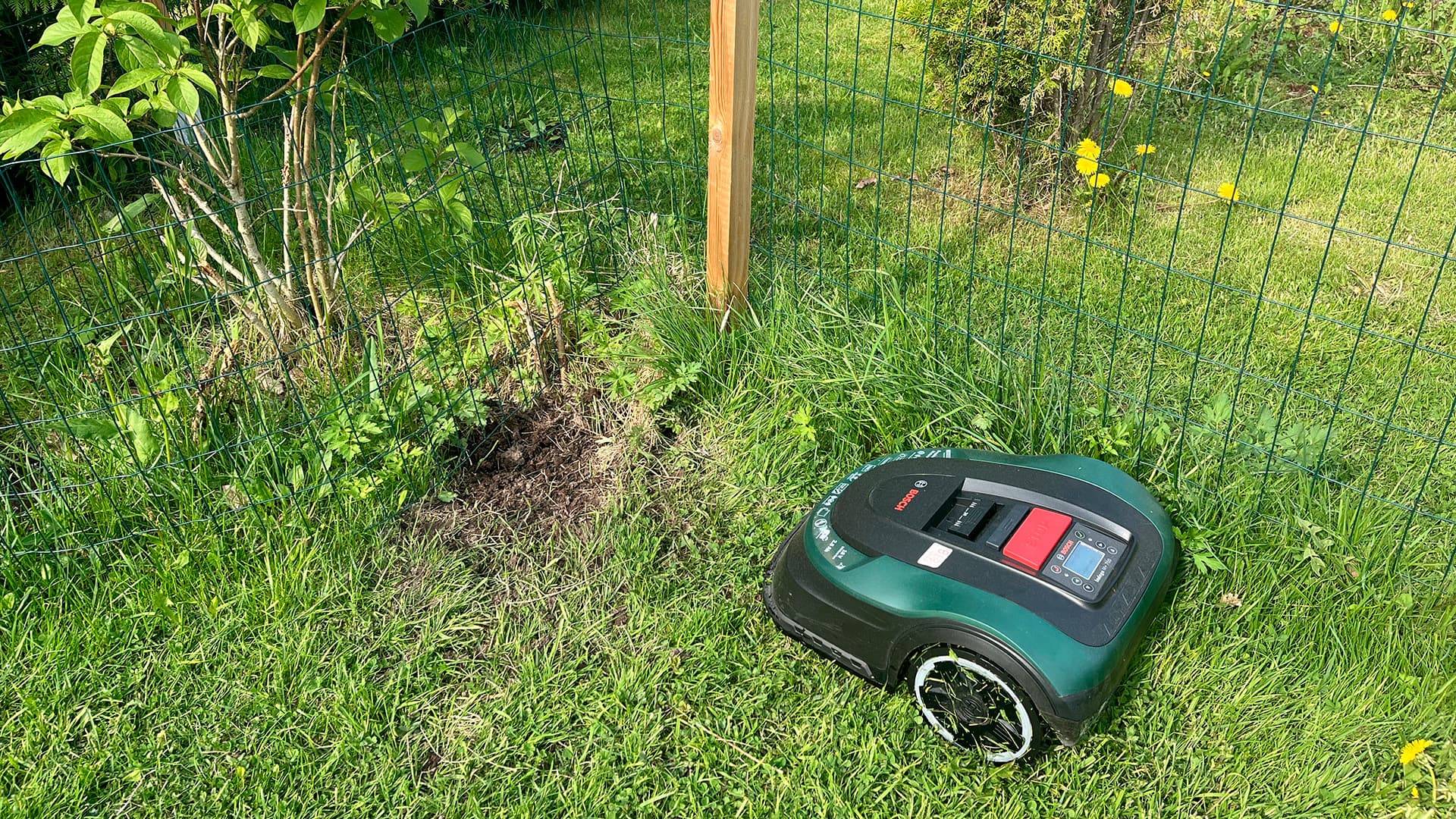 Toimitus testaa: Toimiiko robottiruohonleikkuri ongelmapihalla?