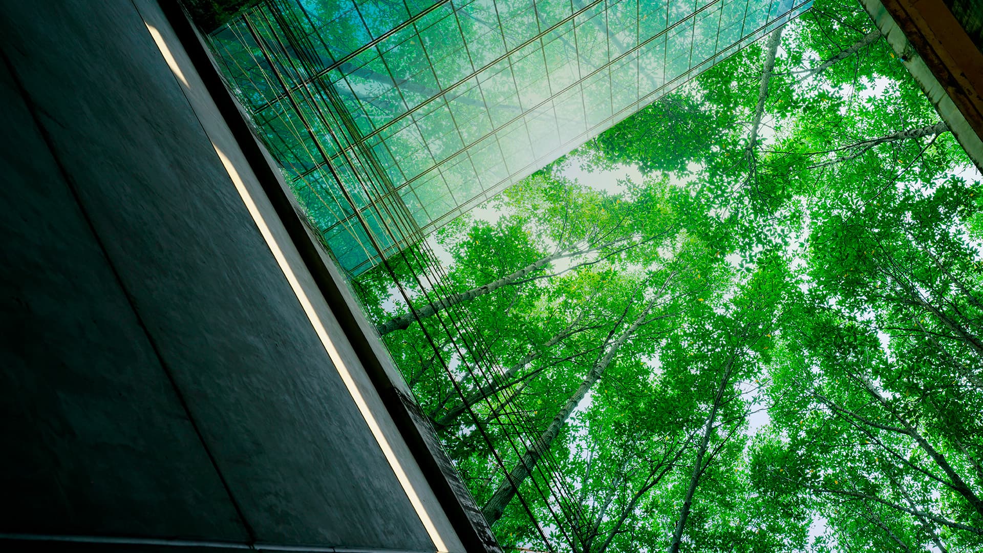 Vähähiilinen rakentaminen vahvistuu – rakennusten ilmastovaikutukset tarkasteluun alusta loppuun